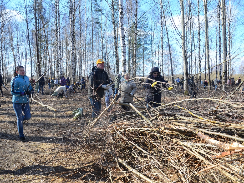 Около 20 тысяч вологжан вышли на общегородскую уборку